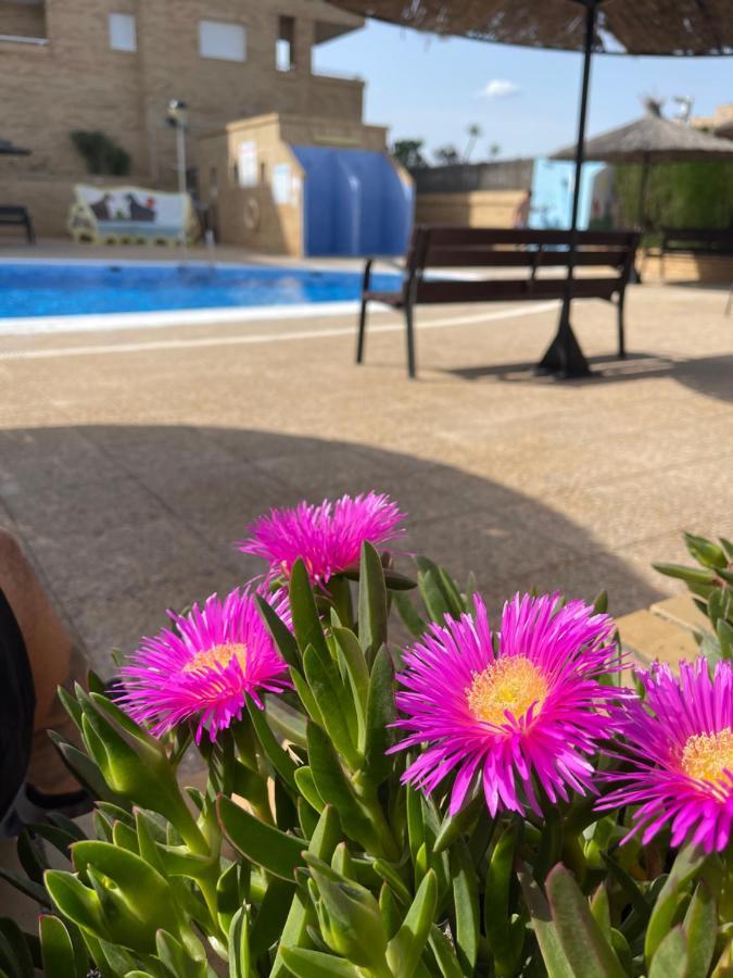 Apartamento Zona Marinador, Cerca A La Playa Oropesa del Mar Esterno foto